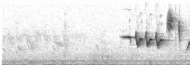 Common Redstart - ML618813301