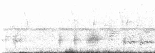 Great Reed Warbler - ML618813520
