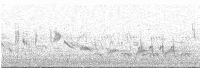 Western Orphean Warbler - ML618813555