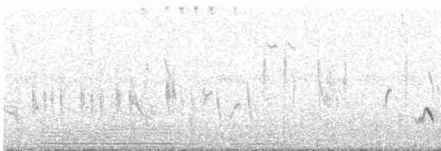 Western Orphean Warbler - ML618813879