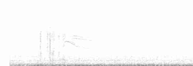 Рыжебрюхий фиби - ML618813926