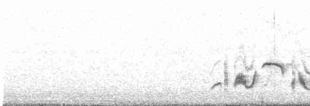 Western Orphean Warbler - ML618814573