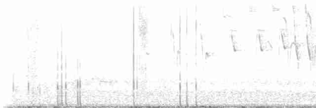 Tennessee Warbler - ML618815210