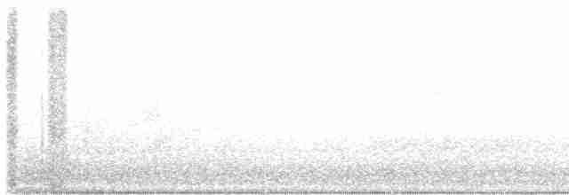 lesňáček černobílý - ML618815470
