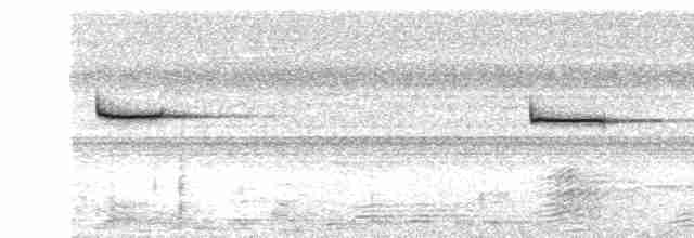 Малая бесхвостка - ML618815521