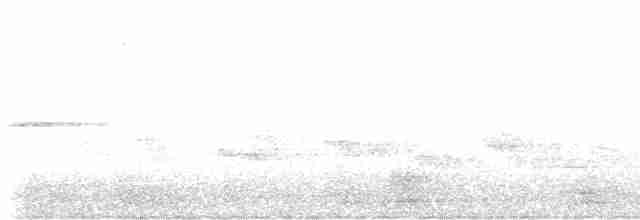 Дрізд-короткодзьоб Cвенсона - ML618815655