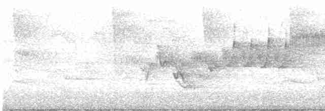 Cerulean Warbler - ML618815756