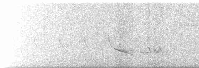 østblåfugl (sialis/bermudensis) - ML618815962