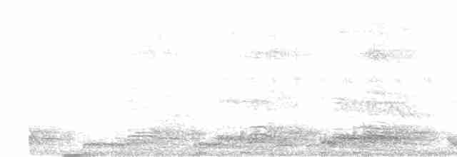 白腹秧雞 - ML618816223