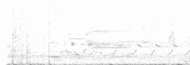 Trauerseeschwalbe - ML618816226