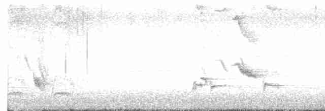 Тремблер прямодзьобий - ML618816240