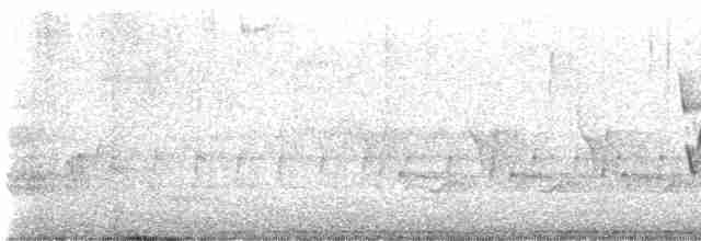 Каролинский крапивник - ML618816880