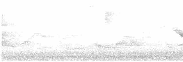 Kara Kanatlı Piranga - ML618817051
