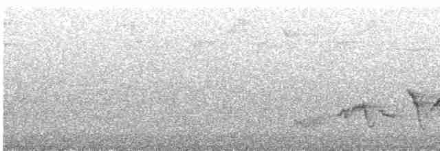 Bülbül Ardıcı [swainsoni grubu] - ML618818061