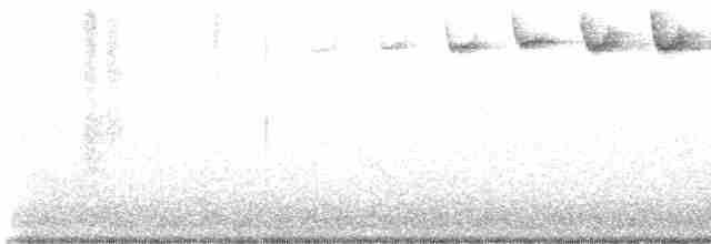Blackpoll Warbler - ML618818100