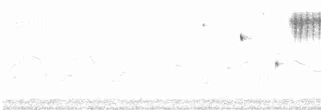 Кузнечиковая овсянка-барсучок - ML618818259