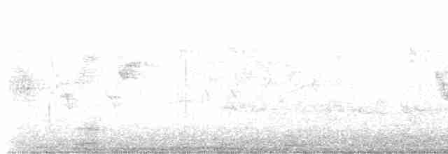 Cerulean Warbler - ML618818488