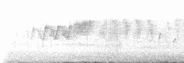 Cerulean Warbler - ML618818501