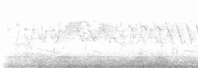 Cerulean Warbler - ML618818516