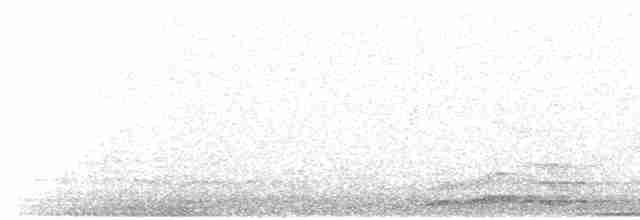 Канюк неоарктичний (підвид abieticola) - ML618819055