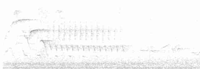 Дрізд-короткодзьоб Cвенсона - ML618819081