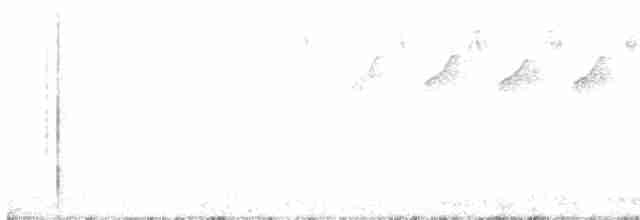 Paruline noir et blanc - ML618819091