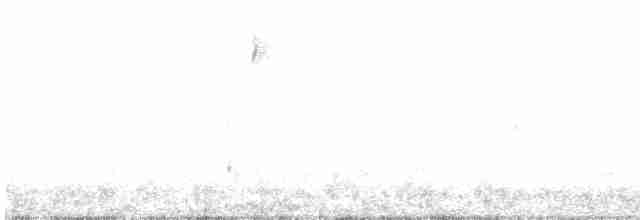 Червоїд сіроголовий - ML618819098