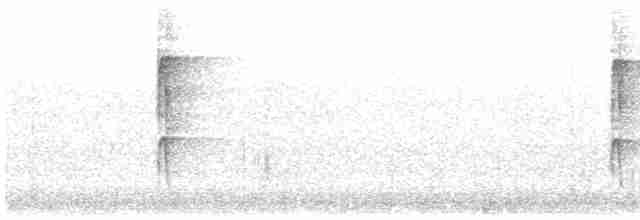 strakapoud osikový - ML618819251