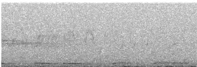 holub hřivnáč - ML618819584