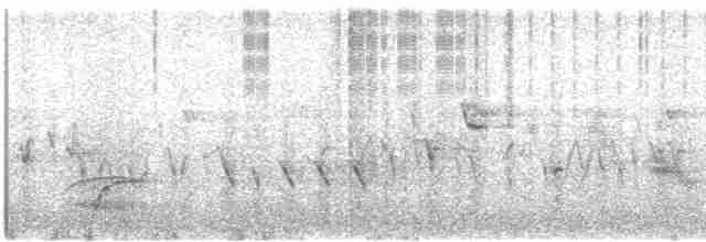 Дрізд-короткодзьоб Cвенсона - ML618819616