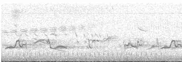 Bruant des prés (groupe sandwichensis) - ML618819657