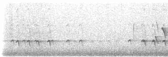 "Шишкар ялиновий (Northeastern, або тип 12)" - ML618819992