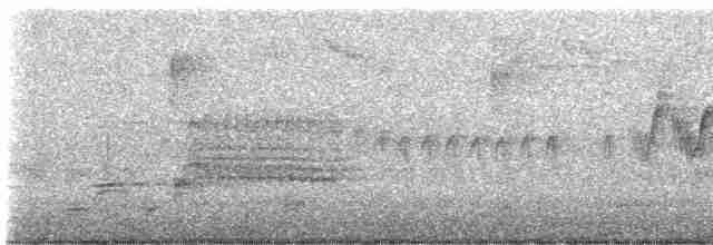Cerulean Warbler - ML618820180