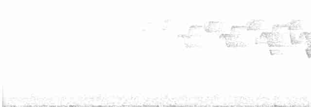 Tennessee Warbler - ML618820615