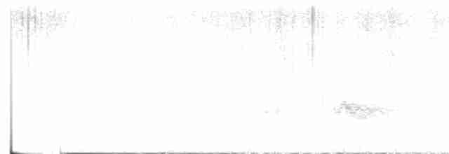 Kara Kanatlı Piranga - ML618821239