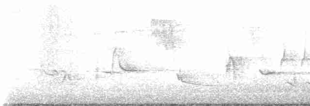 Oriole des vergers - ML618821776