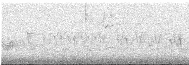 "Шишкар ялиновий (Northeastern, або тип 12)" - ML618821923