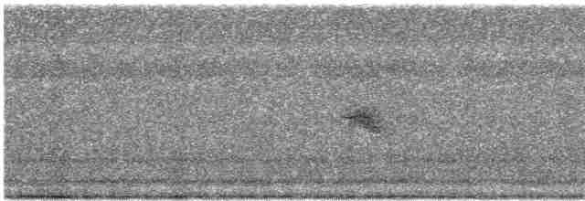 Gri Yanaklı Bülbül Ardıcı - ML618822557