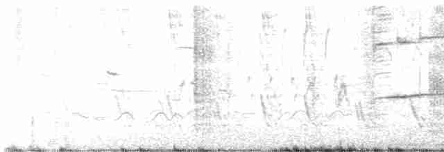 Büyük Mor Kırlangıç - ML618822710