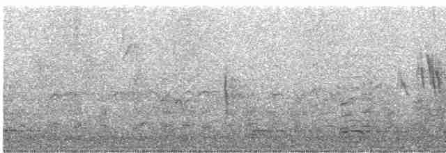 Black-throated Gray Warbler - ML618822743