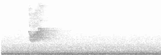 Savannennachtschwalbe - ML618822856