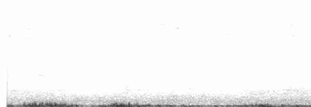 Малая вильсония - ML618823400