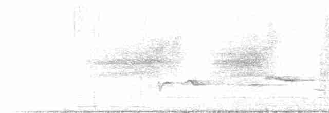Віреон світлобровий (підвид gilvus) - ML618824646