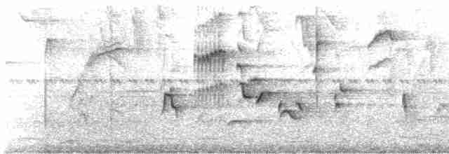 Turuncu Gagalı Bülbül Ardıcı - ML618824751