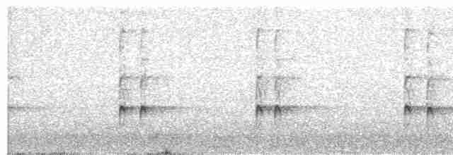 Karolina Çıtkuşu - ML618825268