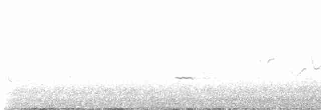 White-eyed Vireo - ML618825518