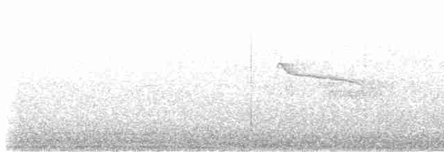 White-whiskered Puffbird - ML618825821