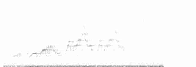 Дрізд-короткодзьоб Cвенсона [група ustulatus] - ML618826301