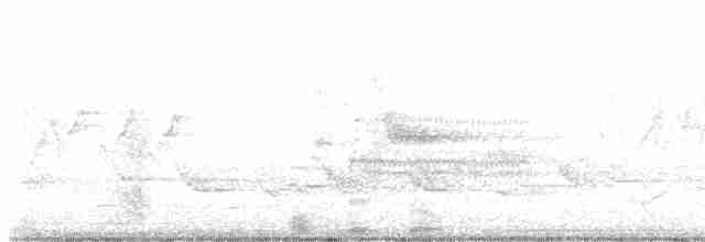 Augenring-Waldsänger - ML618827481