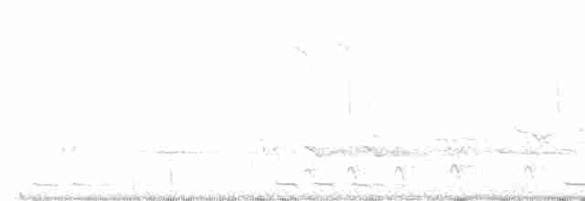 Black-billed Cuckoo - ML618828604